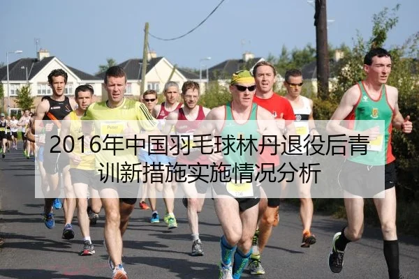 2016年中国羽毛球林丹退役后青训新措施实施情况分析