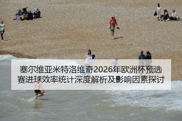 塞尔维亚米特洛维奇2026年欧洲杯预选赛进球效率统计深度解析及影响因素探讨